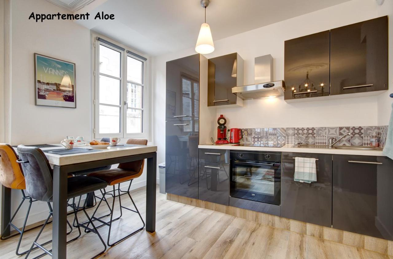 Apartment De Caractere Centre Vannes