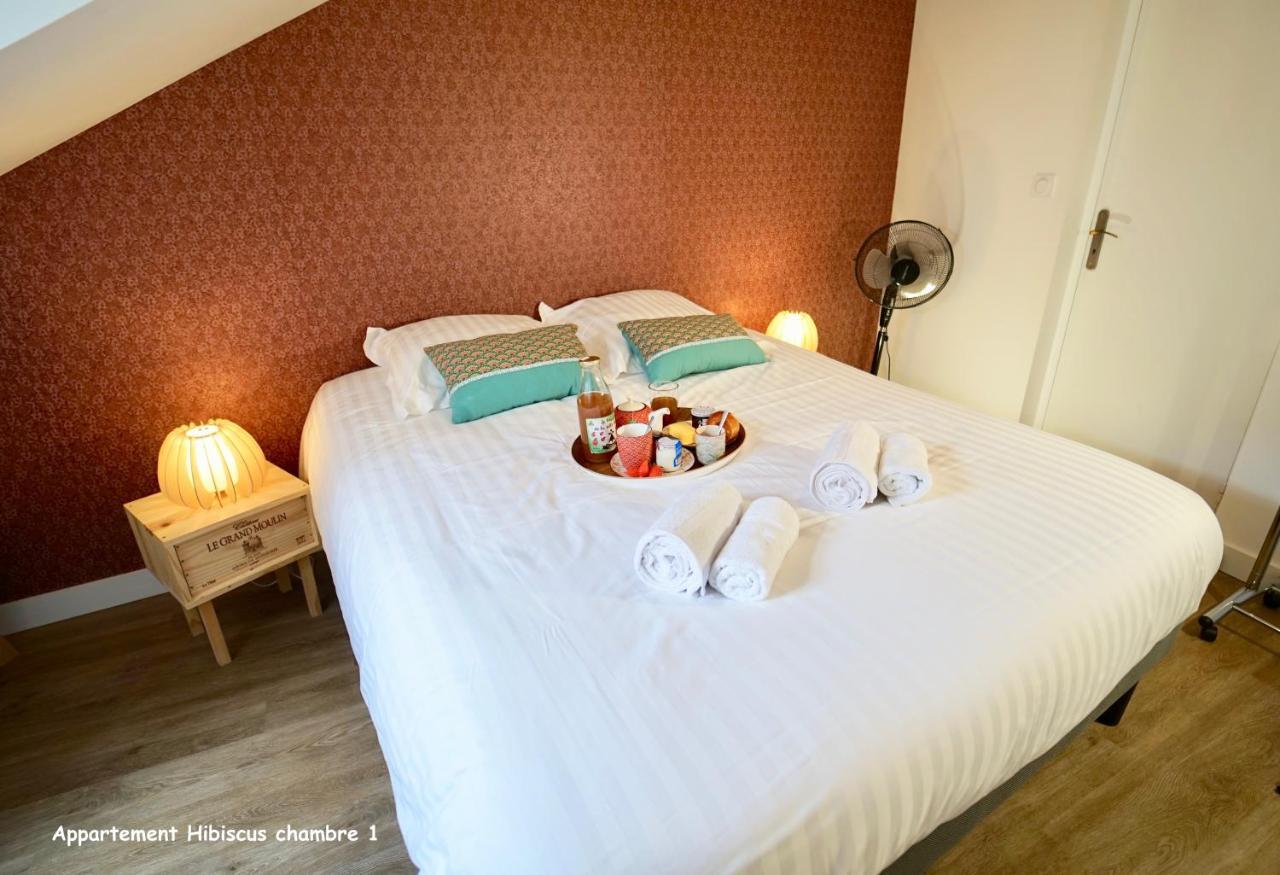 Apartment De Caractere Centre